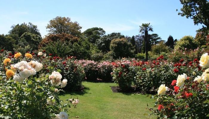 Mona Vale Gardens Christchurch
